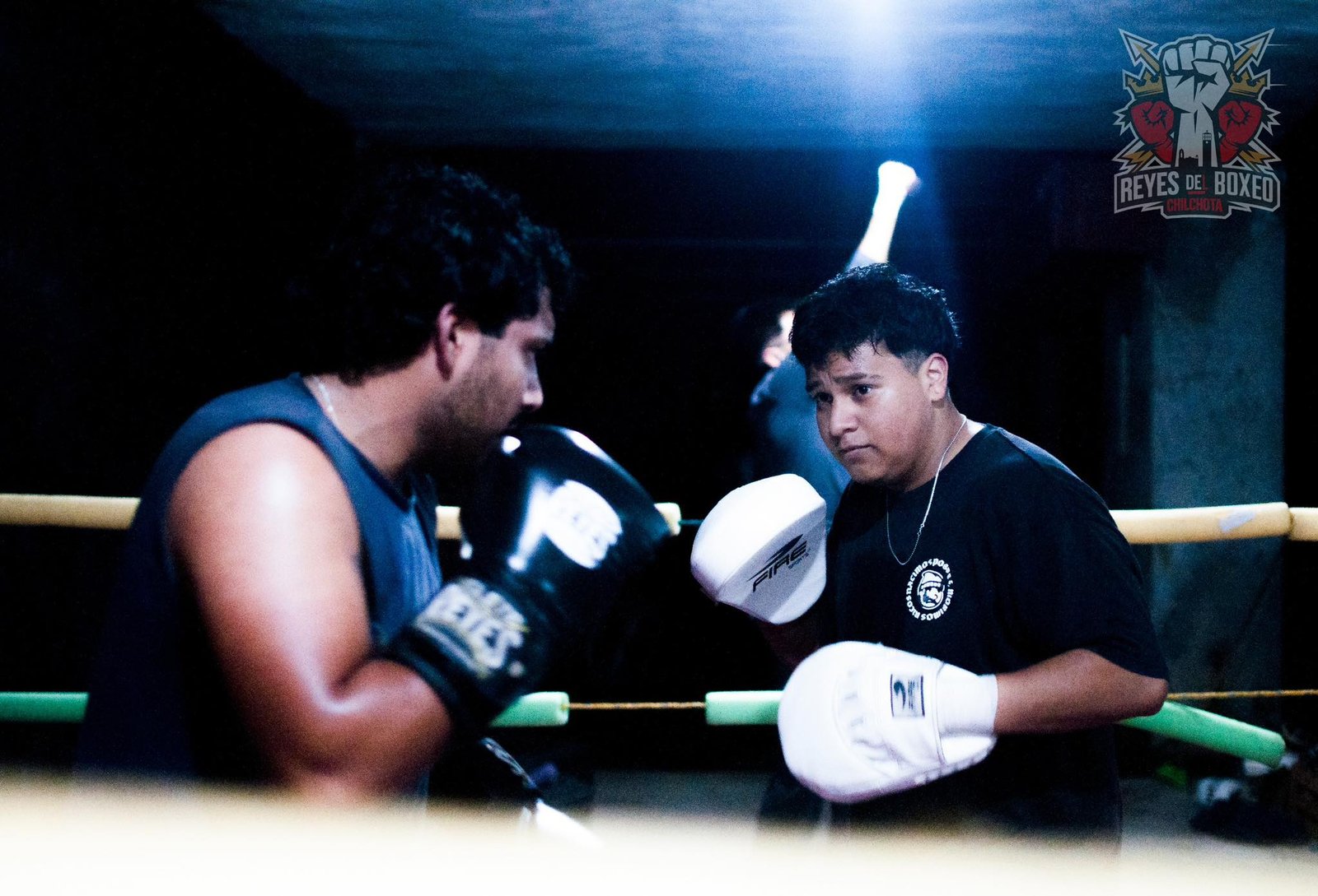 Coach manopleando - técnica profesional